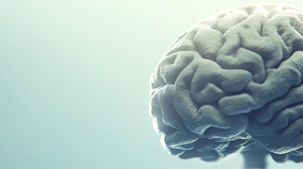 Obraz premium Close-up of human brain with intricate neural pathways, symbolizing cognitive biases and complex thought processes, ideal for educational or scientific presentations.