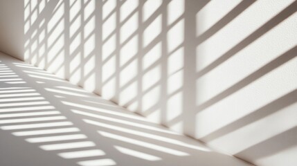 Obraz premium Light and Shadow Patterns on a White Wall