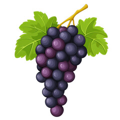 Fototapeta premium Fresh, plump grapes cluster, a vibrant and healthy snack choice, perfect for salads or snacking, on white backdrop.