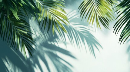 Palm Leaf Shadows on a Pale Blue Wall