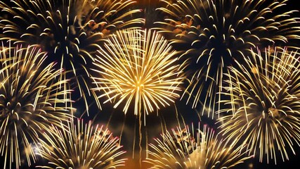 A vibrant display of fireworks lights up the night sky, creating a stunning spectacle