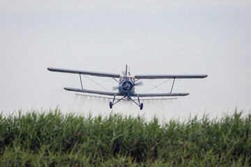 An airplane pollinates fertilizers in a cornfield