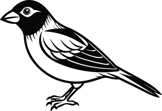 recommend clip art:  Line art drawing of Silhouette black grosbeak bird vector art illustration 