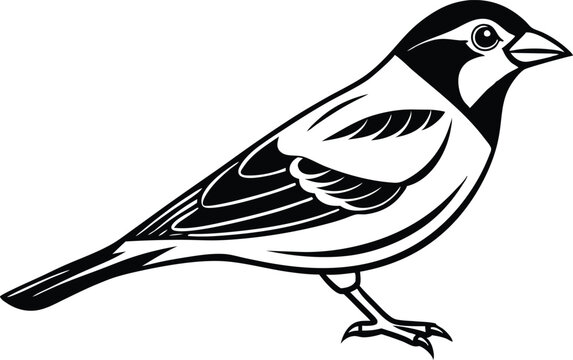 recommend clip art:  Line art drawing of Silhouette black grosbeak bird vector art illustration 