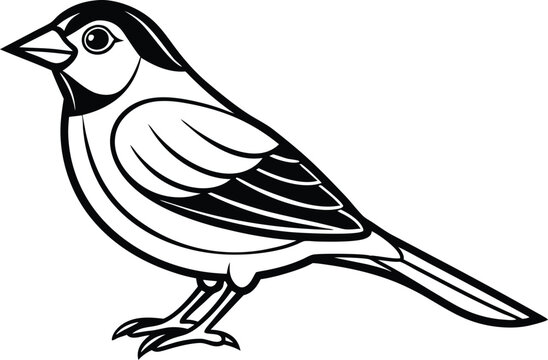 recommend clip art:  Line art drawing of Silhouette black grosbeak bird vector art illustration 