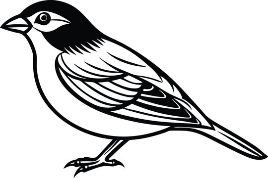 recommend clip art:  Line art drawing of Silhouette black grosbeak bird vector art illustration 