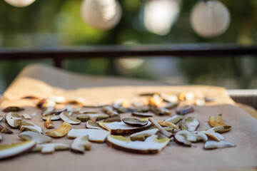 Drying mushrooms. Thinly sliced ​​mushrooms spread on parchment paper and an oven tray dry in...