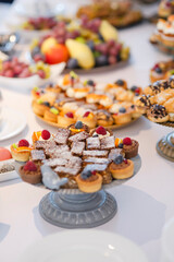 Different kinds of beautiful pastry, small colorful sweet cakes, macaron, and other dessert in the sweet buffet