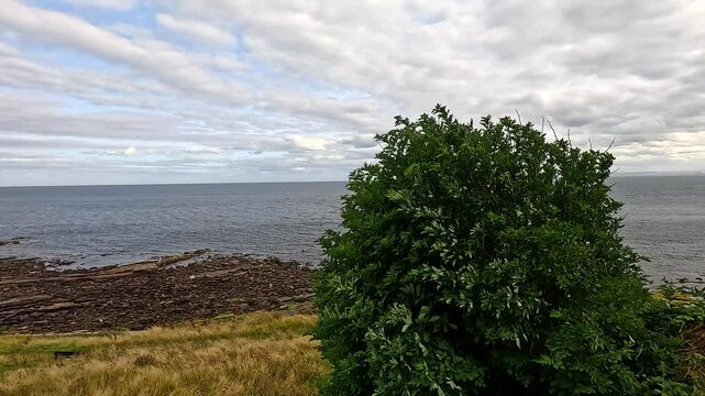 Coastal Landscape in Crail, Fife