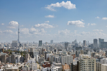 Fototapeta premium 文京シビックセンターから見た墨田区方面の風景