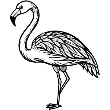 recommend clip art: Flamingo Outline Art Vector.