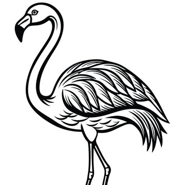 recommend clip art: Flamingo Outline Art Vector.