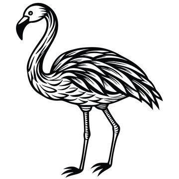 recommend clip art: Flamingo Outline Art Vector.