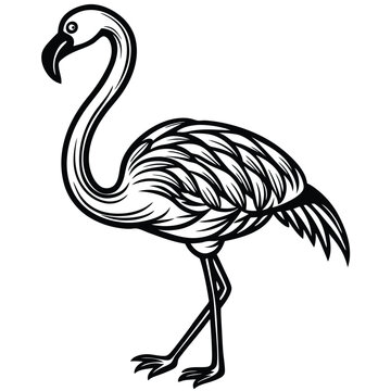 recommend clip art: Flamingo Outline Art Vector.