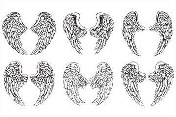Fototapeta premium Angel amp Bird Wing Vector Design 