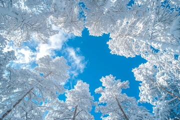 Fototapeta premium Winter season background full of white snow falling