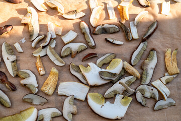 Drying mushrooms in the sun. Thinly sliced ​​mushrooms spread out on parchment paper