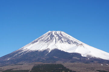 Fototapeta premium 雪に覆われた富士山