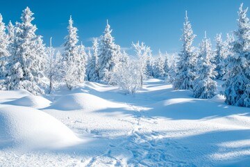 Winter season background full of white snow falling