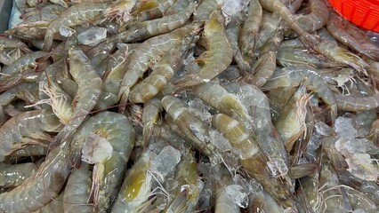 Fresh prawns or shrimp for sale in the seafood market.Fresh seafood for sale in a butcher shop.Fresh lobster on the stall. selling sea food in traditional market. traditional butcher stall