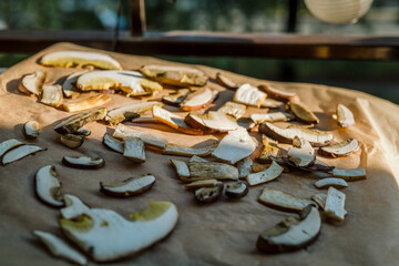 Drying mushrooms. Thinly sliced ​​mushrooms spread on parchment paper and an oven tray dry in the sun on the balcony. Autumn vibes