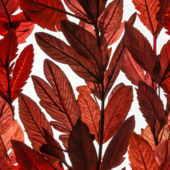 Abstract leaves with red backlight