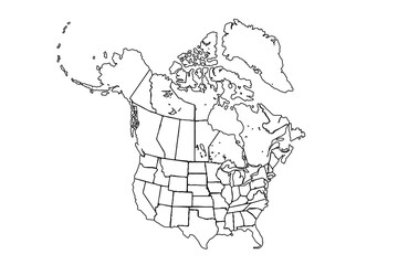 Blank Political North America Map vector illustration with countries.line art vector illustration, line drawing map.
