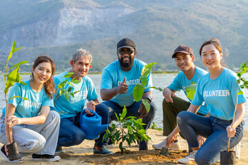 group of diverse volunteers planting trees in evening sun, concept reforestation, environmental...