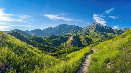 A stunning mountain landscape with a winding trail through vibrant greenery, under a bright blue sky, perfect for travel and adventure photography