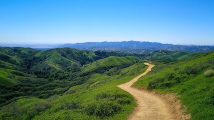 Scenic mountain view with a winding trail, lush green hills, and a clear blue sky, creating the perfect backdrop for outdoor adventure