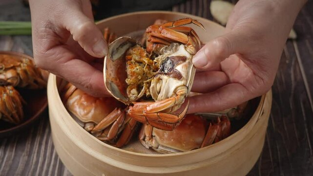 steamed hairy crab meat in hand close up.