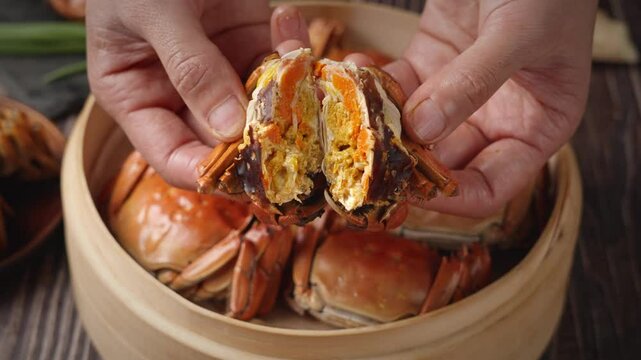 steamed hairy crab meat in hand close up.