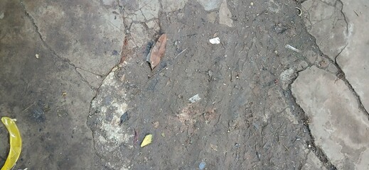 Elements of the Earth