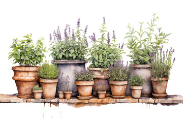 Fototapeta premium Collection of colorful potted herbs and flowers in various terracotta pots on a wooden shelf.