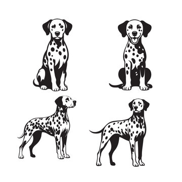 Set of Dalmatian Dog vector illustration - Dalmatian Dog Different Activities Clipart Design