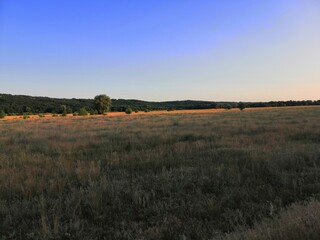 Landscape of a large clearing with small mountains and a gentle sunset
