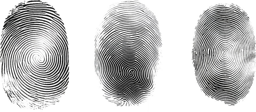Vector black fingerprint on white Transparent  background.