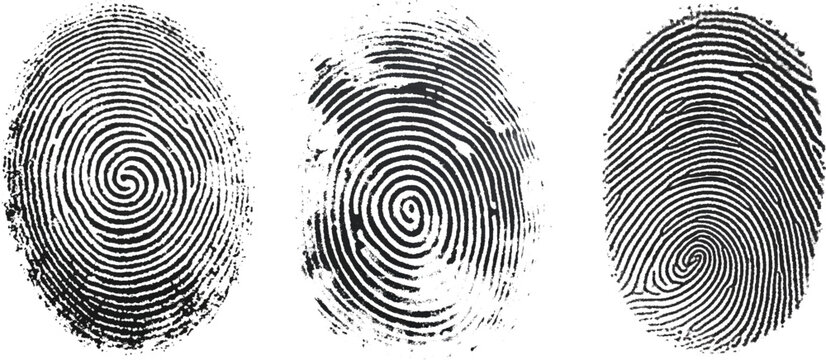 Vector black fingerprint on white Transparent  background.