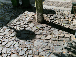 circular tree bowls in rough irregularly stacked paving. The brown walls of a historic building...