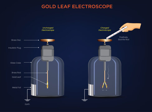 Gold Leaf Electroscope Detecting and Indicating Electric Charge