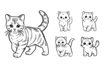 A sweet little cat captured in a standing pose illustration