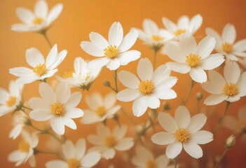 white flowers on a yellow background