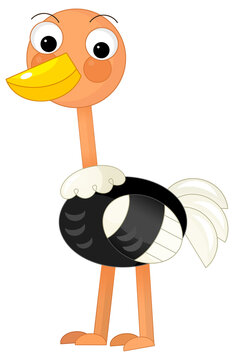 recommend clip art: Cartoon happy exotic animal bird ostrich safari isolated illustration for kids