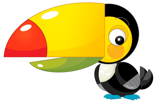 recommend clip art: Cartoon animal happy tropical bird toucan on white background illustration for childen