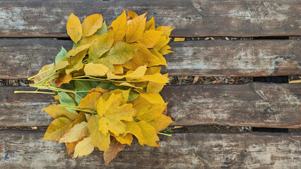 Bright Autumn Leaves on a Rustic Wooden Bench. Photo background of fallen leaves on chair with soft...