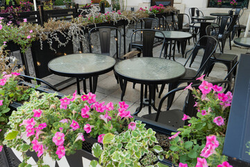 Street Restaurant Table, Empty Cafe Tables, Bar Terrace, Outdoor Restaurants, Outside Trattoria