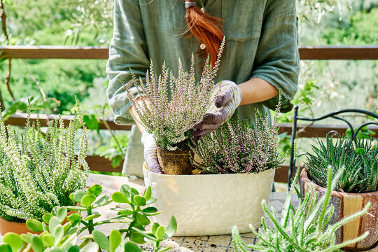 Woman wearing gloves and doing gardening in balcony
