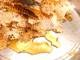 Close-up image shows a bee on a golden honeycomb with its perfect hexagonal structure, capturing the hard-working insect in an apiary hive as it collects and produces honey— Honey Extraction