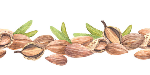 Almond nuts, peeled and in the nutshell with leaves seamless border. Watercolor hand drawn vegan food label, striped pattern. Snack Product design packing. Illustration Clipart on isolated background