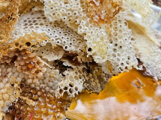 Close-up image shows a bee on a golden honeycomb with its perfect hexagonal structure, capturing the hard-working insect in an apiary hive as it collects and produces honey— Honey Extraction